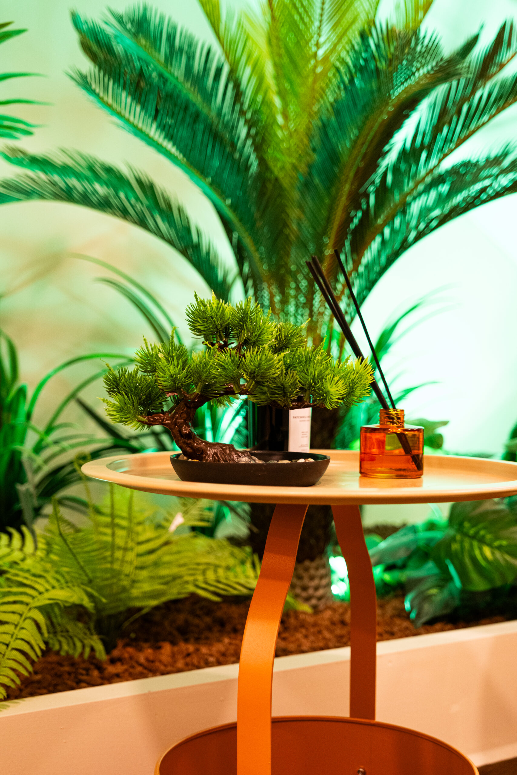 Rahatlığın ve Şıklığın Buluştuğu Alan